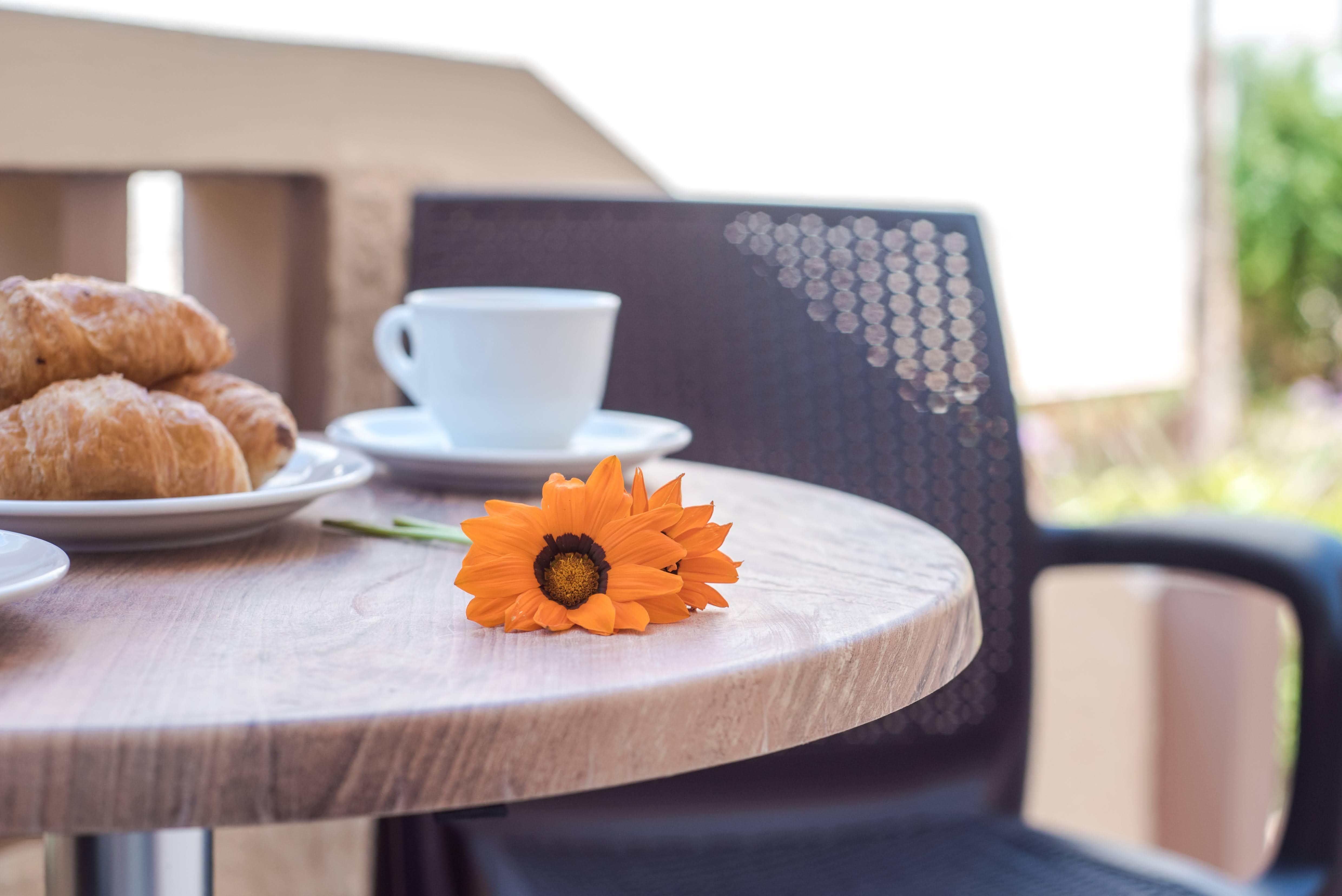 Ilios Malia Hotel Resort Kültér fotó