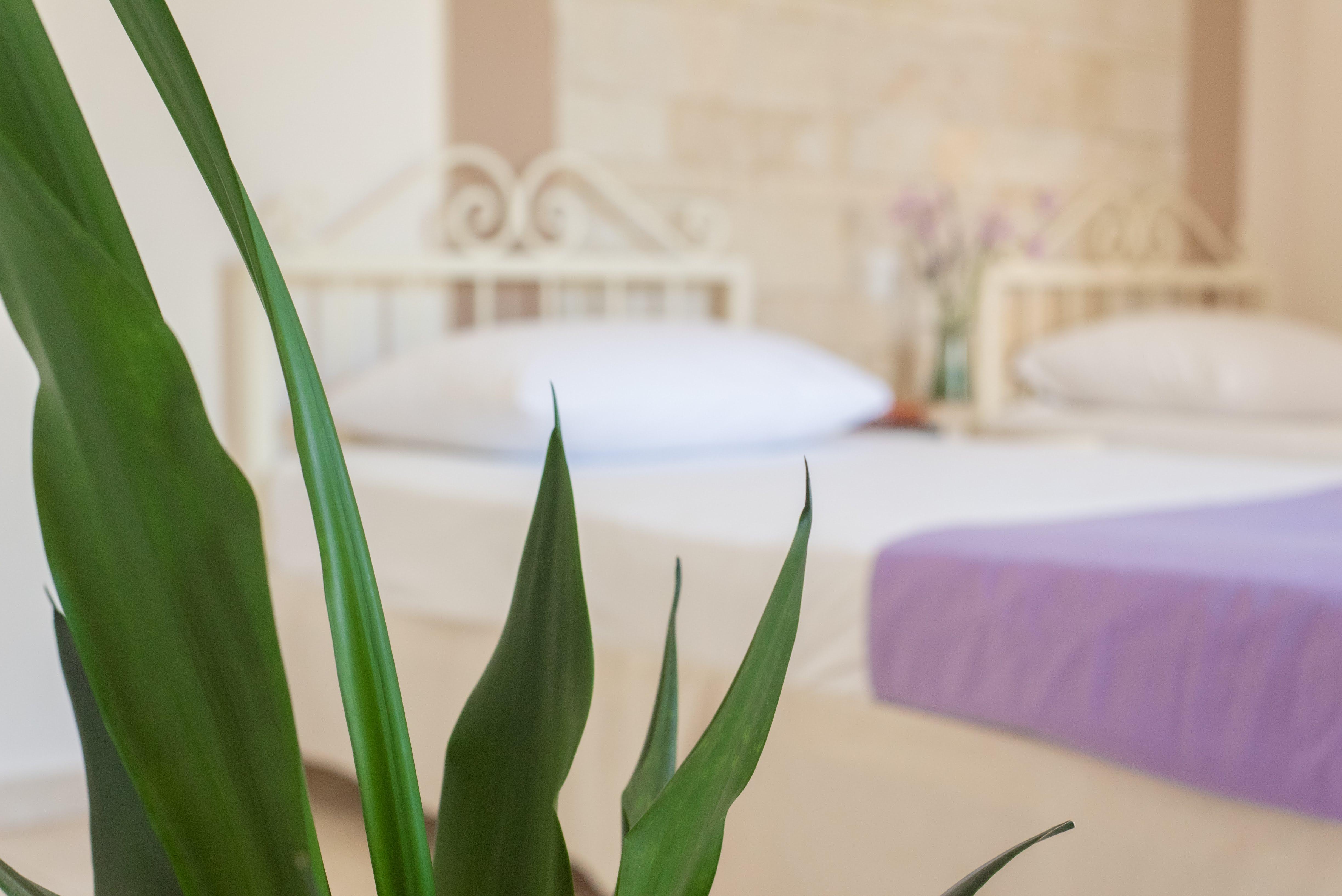 Ilios Malia Hotel Resort Kültér fotó
